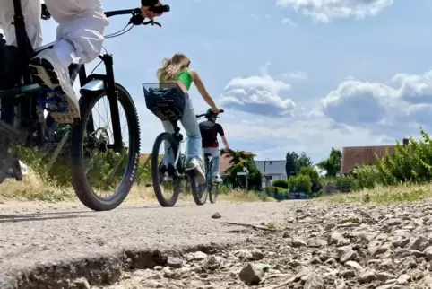 Bei Schülern beliebt: der etwas holprige Radweg von Wachenheim nach Bad Dürkheim. 