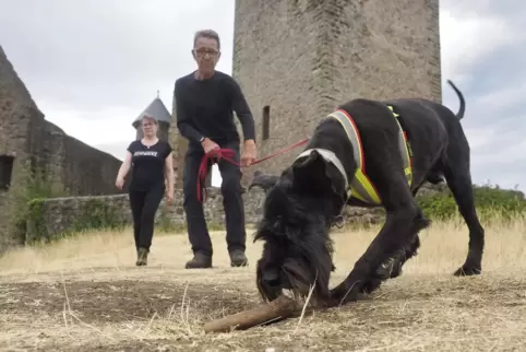 Gefunden! Mittelschnauzer Bonya trainiert mit Herrchen Willi Bötticher. Mit dabei ist im Hintergrund Annette Mogendorf. Um alte 