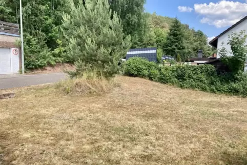 Auf diese Wiese an der Fichtenstraße darf Winfried Tretter bisher nicht sein Tiny House bauen. 