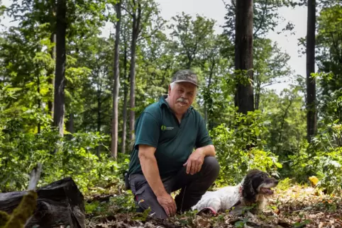 Förster Wolfgang Schmitt mit Jagdhund Vanda im Alteichenbestand mit Eichennaturverjüngung unterschiedlicher Größe in der Abteilu