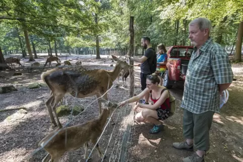 Bei Führungen durch den Kaiserslauterer Wildpark Betzenberg können Besucher mehr über die Tiere erfahren.
