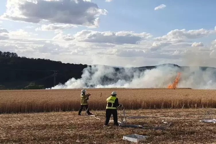 Zu einer starken Rauchentwicklung kam es bei dem Brand eines Felds in der Nähe des Holbornerhofs bei Niederkirchen am Montagaben