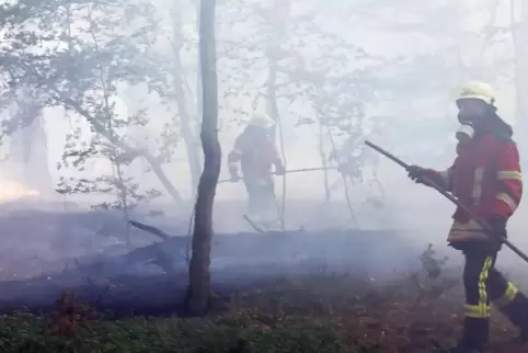 Die Feuerwehr musste im Juni 2022 anrücken: Ein 30-Jähriger soll die drei Brände im Wald gelegt haben. 
