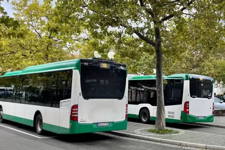 Der &Ouml;ffentliche Nahverkehr soll ausgebaut werden. 