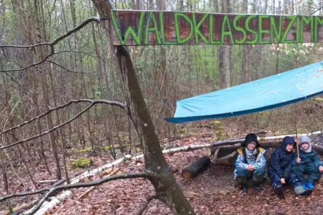 Lernen im Schulzimmer Wald. Wenn das nicht nachhaltig ist. Lernen im Schulzimmer Wald. Wenn das nicht nachhaltig ist.