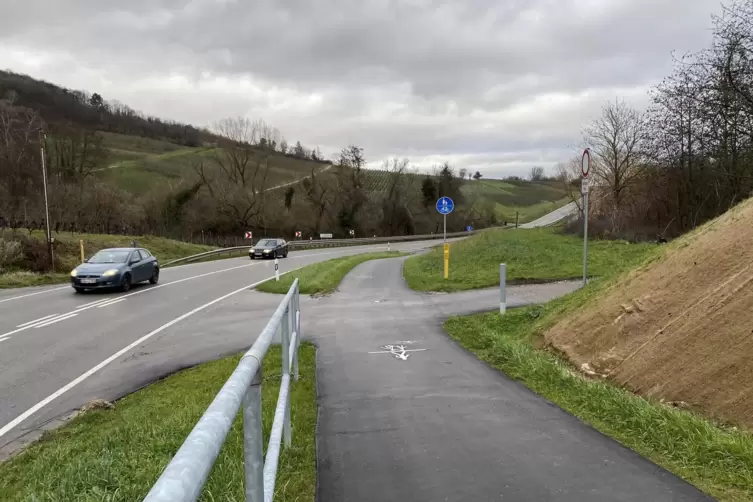 Der Radweg bei Oberotterbach ist Anfang dieses Jahres eingeweiht worden. 