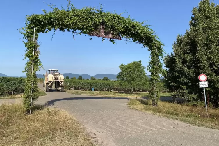Auf der anderen Seite der Landesstra&szlig;e zwischen Hochstadt und Freimersheim f&uuml;hrt der Weg in Richtung Winzerturm. 