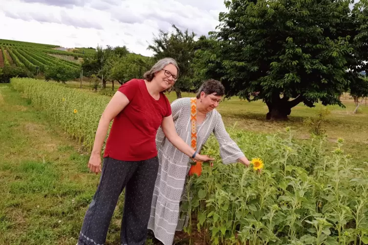 Birgit Lattschar (links) und Beate M&auml;urer am Sonnenblumenfeld. 