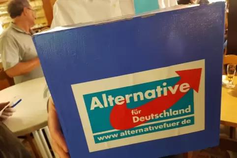 Im Ludwigshafener Stadtrat sitzt ein Sextett für die AfD.