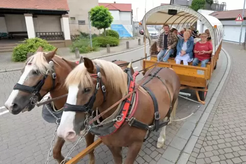 Zwei Kraftpakete vorne, 23 Senioren mit bester Laune hinten: Planwagenfahrt in Otterstadt. 