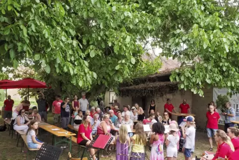 Zum Auftakt von „Kultur unterm Nussbaum“ kamen 70 bis 80 Besucher – trotz Temperaturen jenseits der 30-Grad-Marke. 