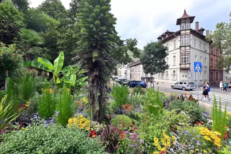 Die Bl&uuml;tenpracht an der Hetzelanlage soll Bewohnern wie Besuchern ein positives Bild der Stadt vermitteln. 