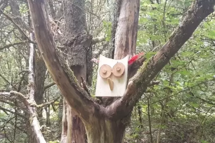 Im Wald gibt es nat&uuml;rlich auch Eulen. 