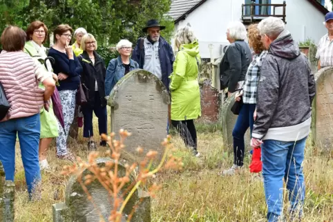 Über 1000 Grabsteine stehen auf dem jüdischen Friedhof in Wachenheim. 