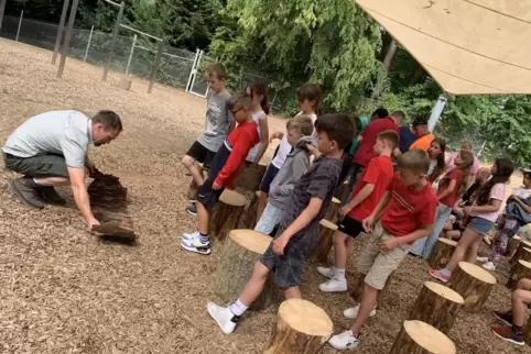 Die Klasse 5a war bei der Einweihung der neuen Sitzmöbel dabei. Förster Michael Dejon gibt gleich ein bisschen Unterricht, zeigt