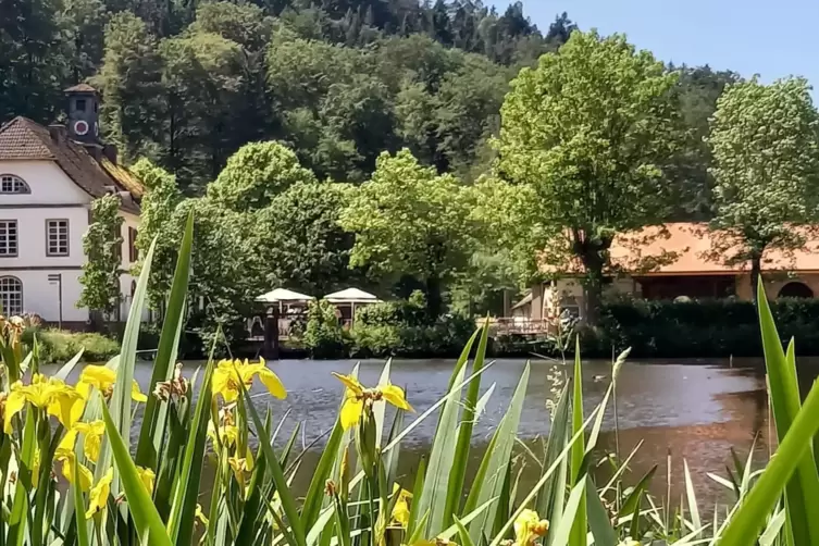 Idyllische Lage: Das Caf&eacute; Unterhammer ist eingebunden in ein Wellness-Refugium mit Kulturprogramm.