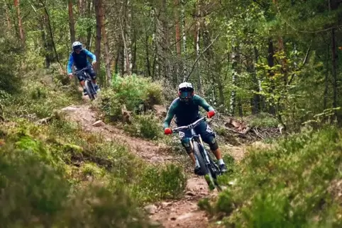Der Radsport-Verein aus Deidesheim will ein legales Abfahrtsangebot im Wald schaffen. 