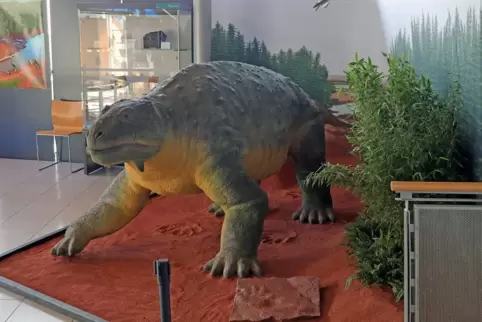Größtes Tier des Erdaltertums noch lange vor der Ära der Dinosaurier: die Wangenechse (Pareiasaurus) – bis zu einer Tonne schwer
