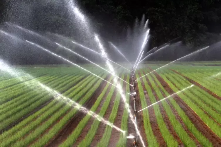 Das Thema Wasser wird in der Landwirtschaft der Zukunft eine Rolle spielen. 