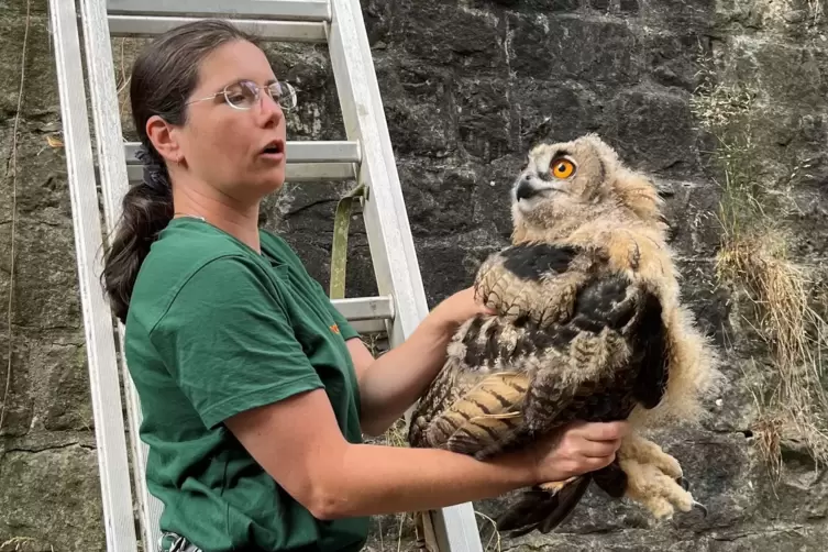 Vogelpflegerin Doreen Balzereit hat den Vogel aus dem Tigergehege gerettet. 