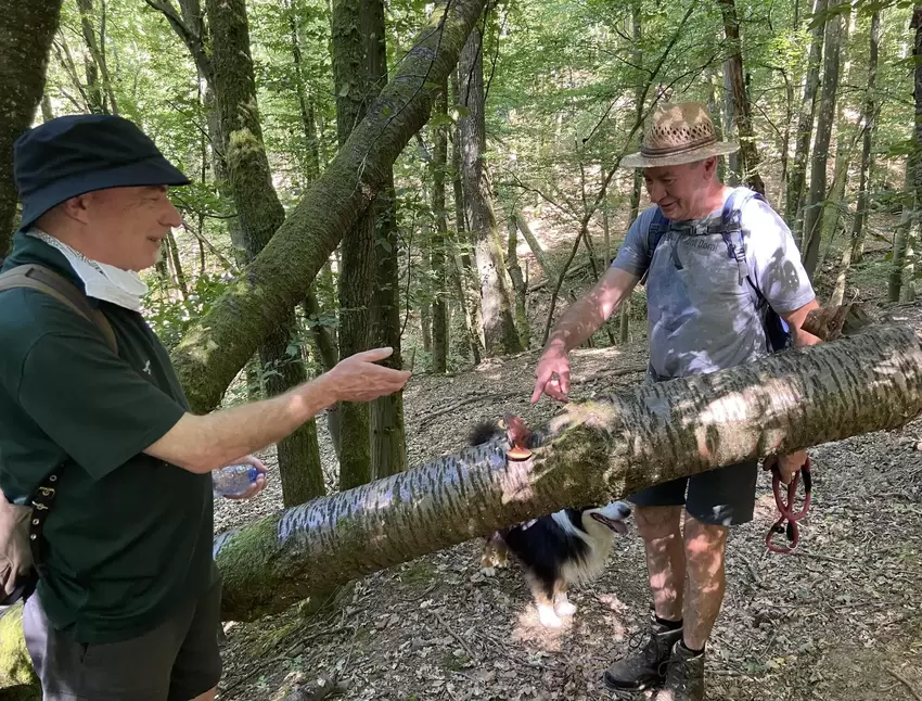 Förster Joachim Kunz (links) und Wanderfreund Helmut Drumm haben einen Baumpilz auf einem umgekippten Stamm entdeckt.
