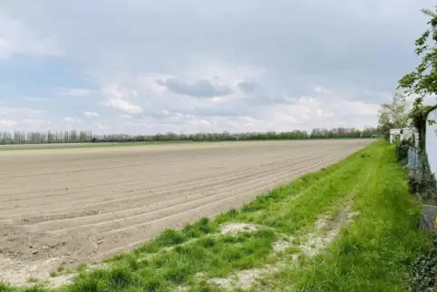 Noch gibt es keine konkreten Pläne für die Gestaltung eines Baugebiets an dieser Stelle im Norden von Bobenheim-Roxheim. 