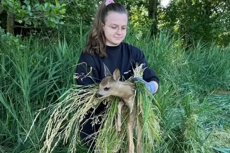 Handschuhe und Gras sind zwischen Retter und Kitz. 
