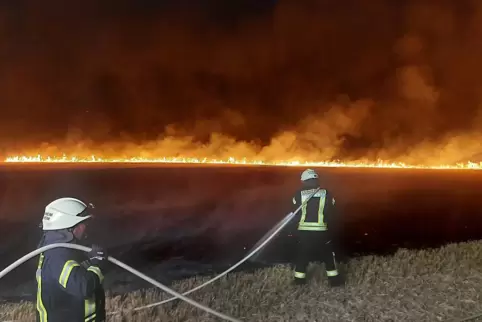 Vor der Flammenwand: Wehrleute in der Nacht vom 19. auf dem 20. Juli bei Kindenheim. 