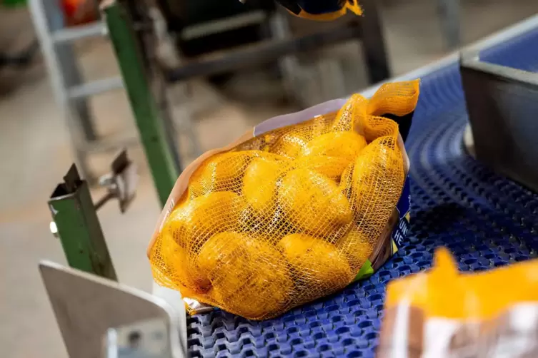 In Netze verpackt werden Kartoffeln aus der Pfalz in Supermärkte gebracht. 