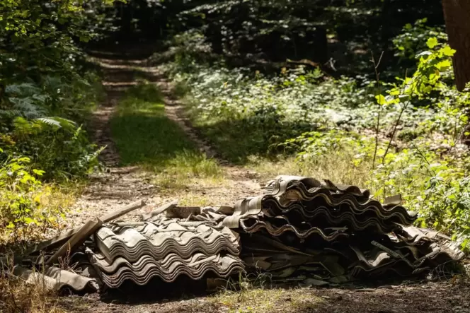 Jemand hat die Dachplatten auf den Feldweg bei Bechhofen geworfen. Jemand hat die Dachplatten auf den Feldweg bei Bechhofen geworfen.