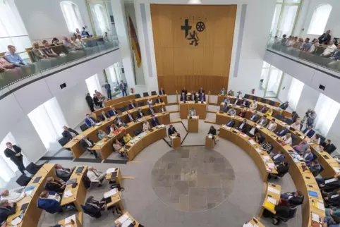 Landtag in Mainz: Antrag zur Kindertagespflege abgelehnt. 