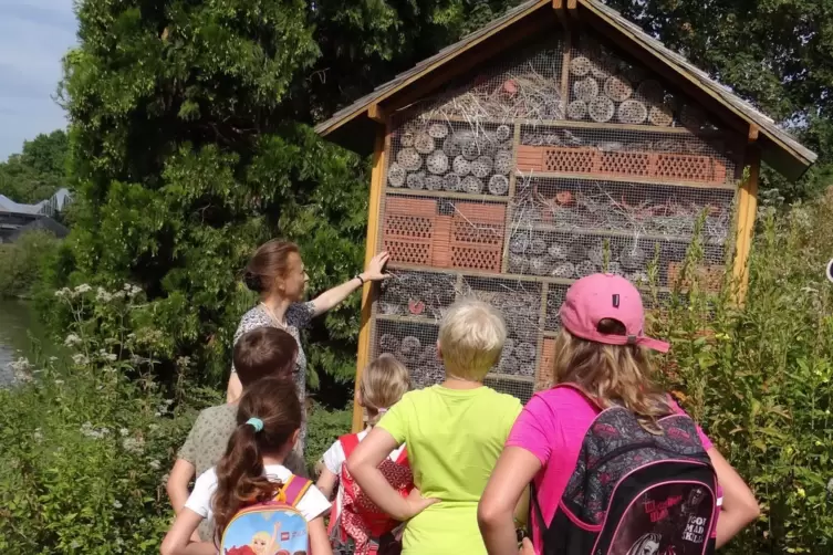 Raus ins Freie: Ursula Jünger erklärt im Luisenpark, was ein Bienenhotel ist. 