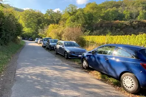 Parken in Deidesheim (hier am Waldrand) ist besonders bei Großereignissen ein Problem.