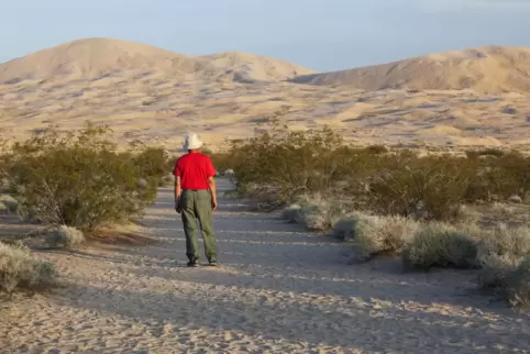 Die Kelso-Dünen in der Mojawe-Wüste Kaliforniens sind bis zu 600 Meter hoch. 