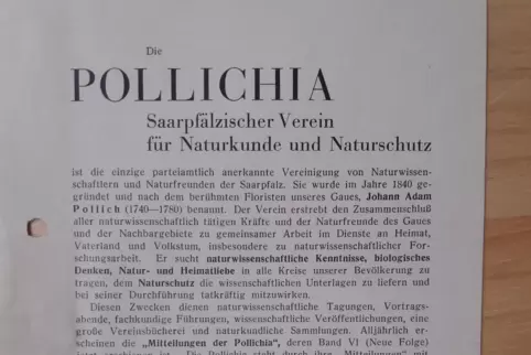 Auch mithilfe eigener Dokumente hat die Pollichia ihre Geschichte aufarbeiten lassen. Der beauftragte Historiker Benjamin Pfanne