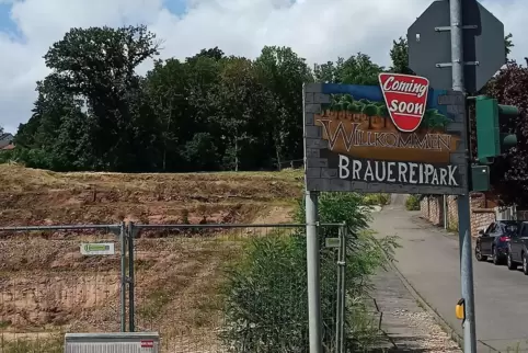 An der Ecke Hofenfels-/Parkstraße steht das selbst gemalte Schild.