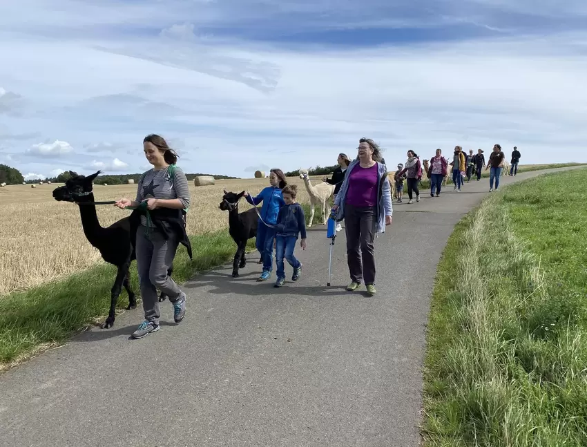 Nach der rund einstündigen Wanderung geht’s zurück Richtung Schönborn.