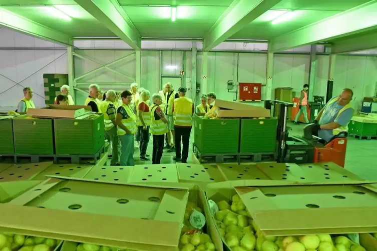 Farbiges Hallenlicht verhindert, dass die Kartoffeln gr&uuml;n werden. 