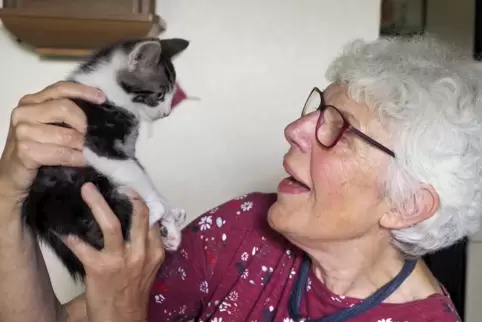 Jutta Keller nimmt seit rund 40 Jahren Katzen bei sich auf, päppelt diese auf und vermittelt sie wieder. 