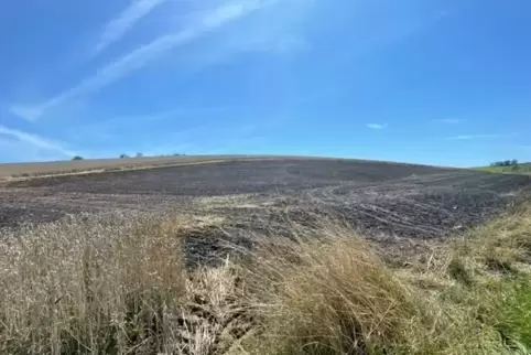 Zwei Hektar eines Getreidefeldes bei Schallodenbach brannten. 