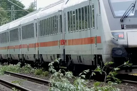Die Bahnstrecke musste kurzzeitig gesperrt werden.