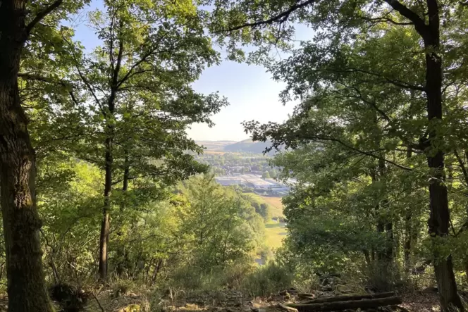 Insgesamt fünf Gemeindewaldreviere gibt es im Kreis Kusel. Insgesamt fünf Gemeindewaldreviere gibt es im Kreis Kusel.