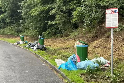 Einmal mehr war kürzlich der Parkplatz an der B48 zwischen Hochstätten und Alsenz von illegal entsorgtem Müll übersät.