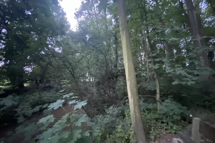 Die Niefernheimer L&ouml;cher bergen so einige Geheimnisse.