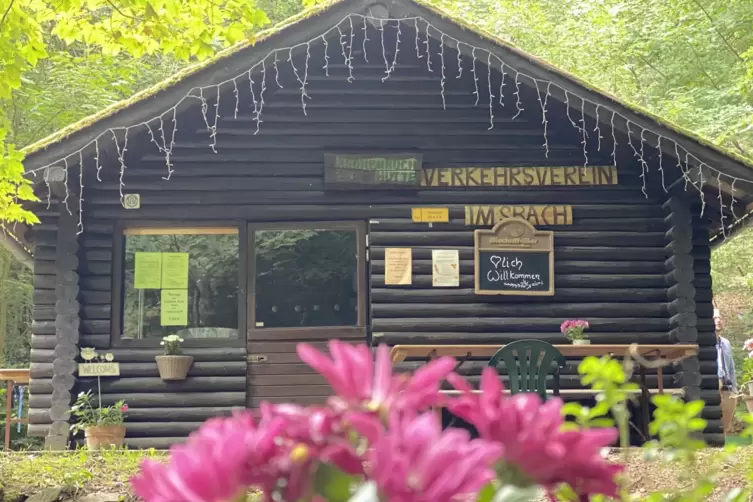 Die Kronbuchenh&uuml;tte im Wald von Falkenstein.