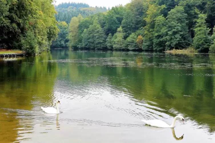 Am Eiswoog l&auml;sst es sich gut aushalten.