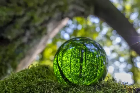 Blick in die Glaskugel: Eine grüne Zukunft mit gesunden Wäldern soll die Energiewende in der Region und darüber hinaus ermöglich