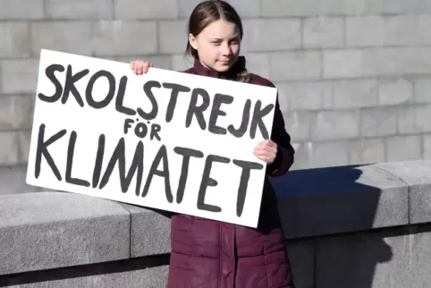 Anfangs stand die damals 15-jährige Greta bei ihren Protesttagen alleine vor dem schwedischen Reichstag. 