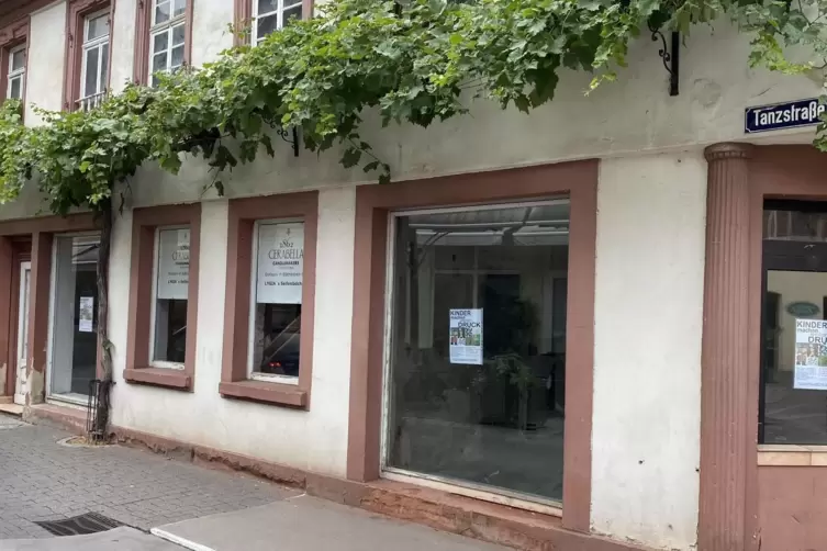 Ein Stadtratsmitglied &auml;u&szlig;ert die Idee, den Leerstand mit Fotos von der Stand zu &uuml;bertunschen. 