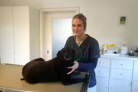 Hier hört Tierärztin Mirjam Mainka das Herz von Hündin Emma ab. Kleintiere behandelt sie in ihrer Praxis in Rodalben, die sie An